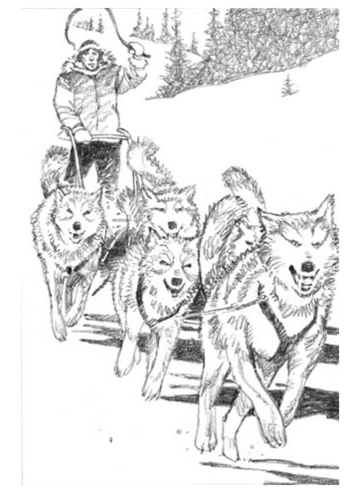 American Indians In Children s Literature AICL Not Recommended american-indians-in-children-s-literature-aicl-not-recommended