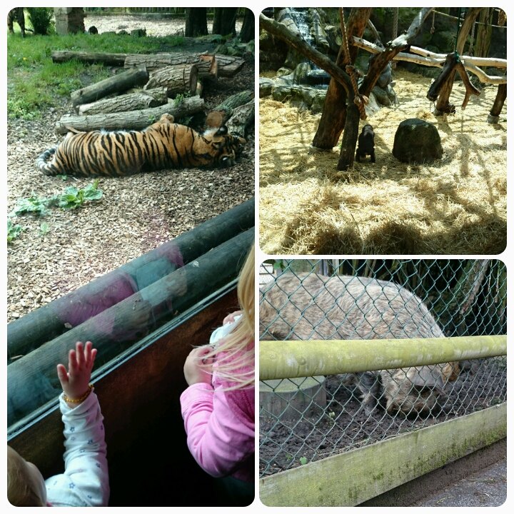 Chessington Zoo