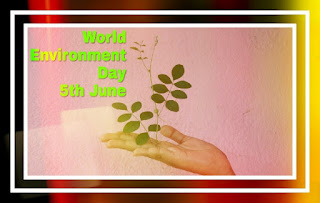 World Environmental day World Environmental day 5 th june