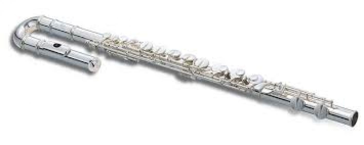 LOS SEXTOS' BLOG LA FLAUTA TRAVESERA