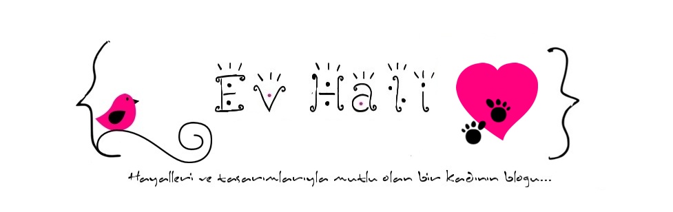 Ev Hali