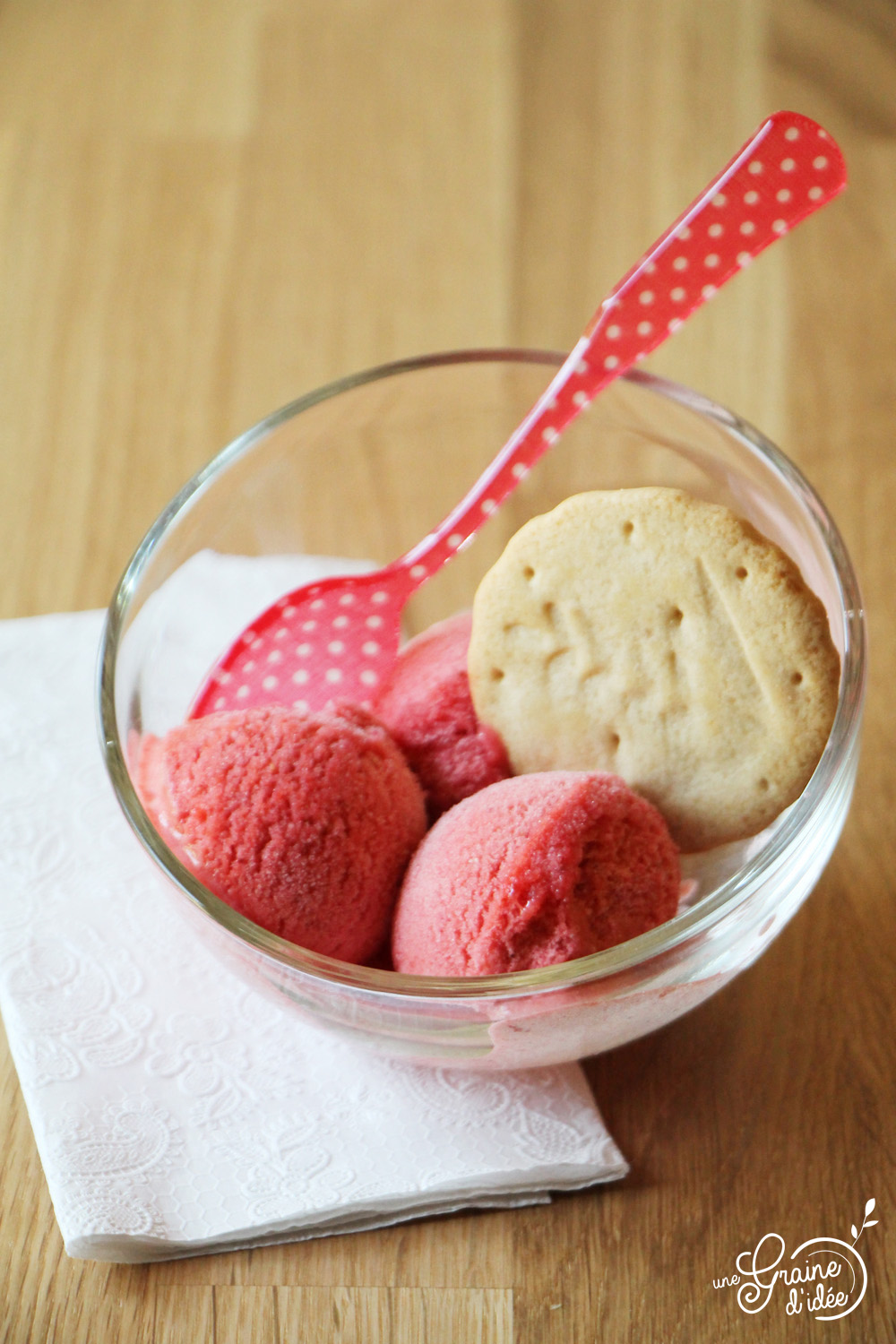 Glace à La Fraise Au Companion Glace à la Fraise (Recette au Companion) | Une Graine d'Idée