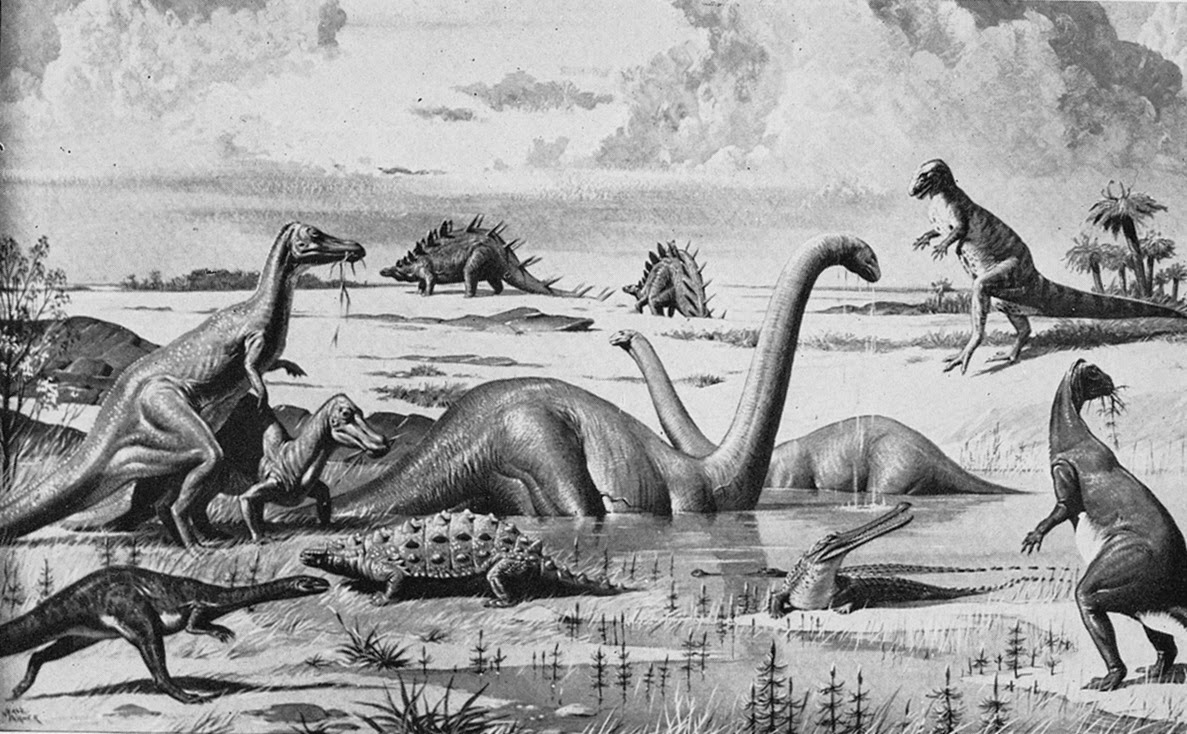 Made in Pangea: La guerra de los huesos.
