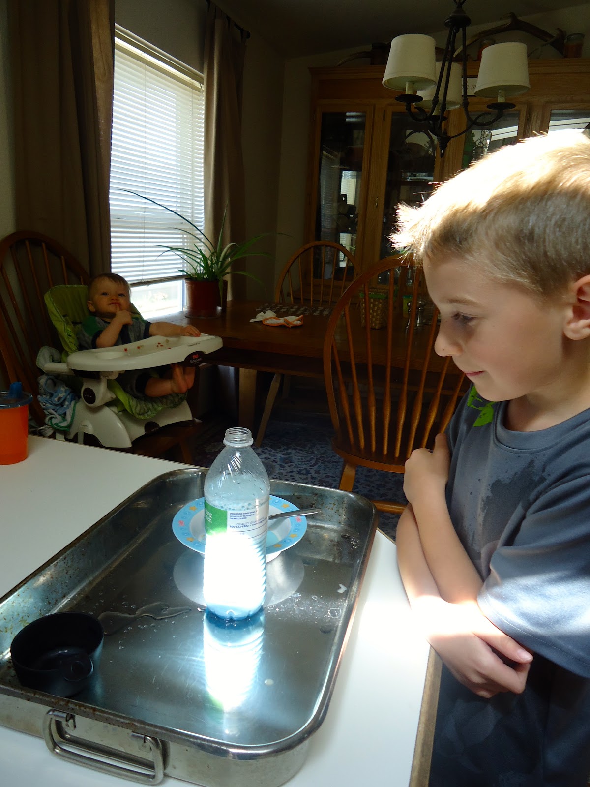 An Elephant Toothpaste Experiment