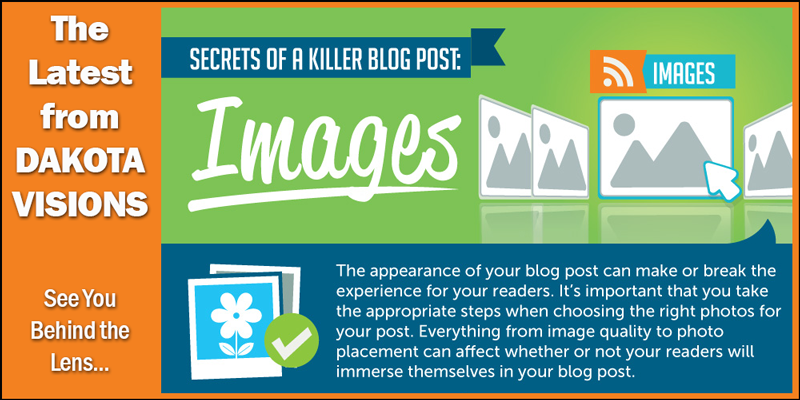 The Latest from Dakota Visions: Secrets of a Killer Blog Post IV - Images #Infographic