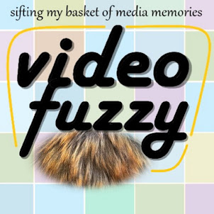 VideoFuzzy