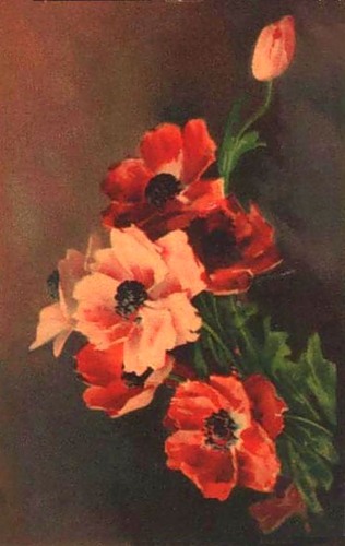 Художница Катарина Кляйн (Catharina Klein, 1861 — 1929) — Цветы