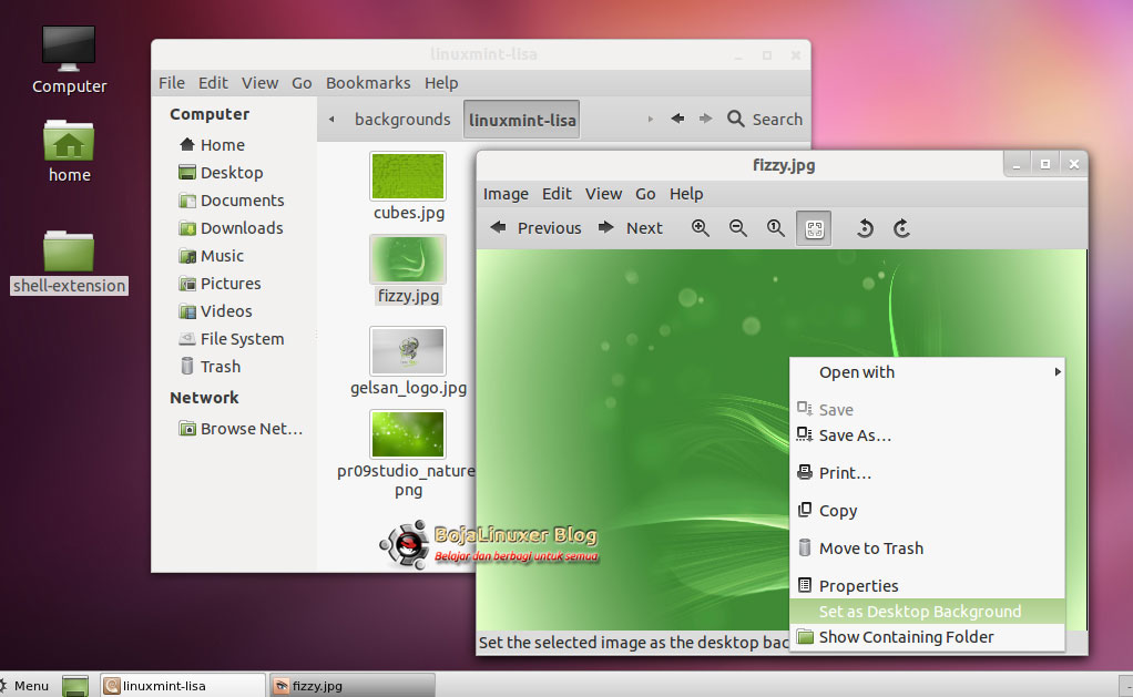 Linux mint или ubuntu. Linux mint 12. mint или ubuntu. linux mint lisa.