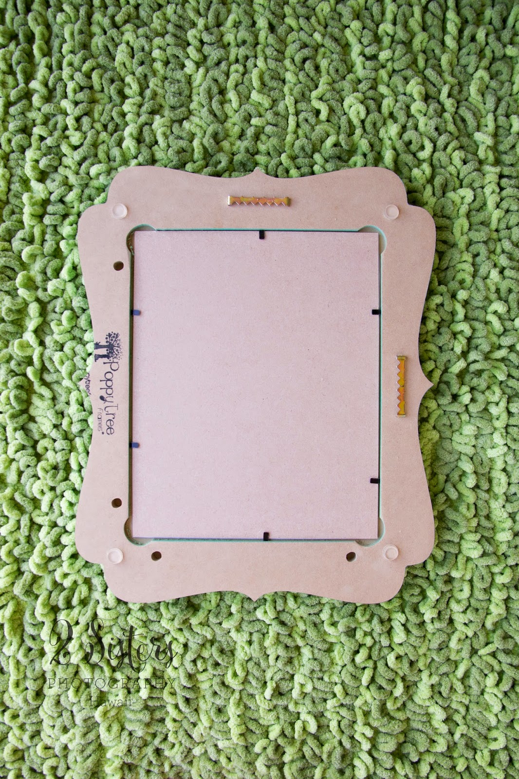 2 Sisters Photography Hawaii & Arizona Product Review Custom Frames