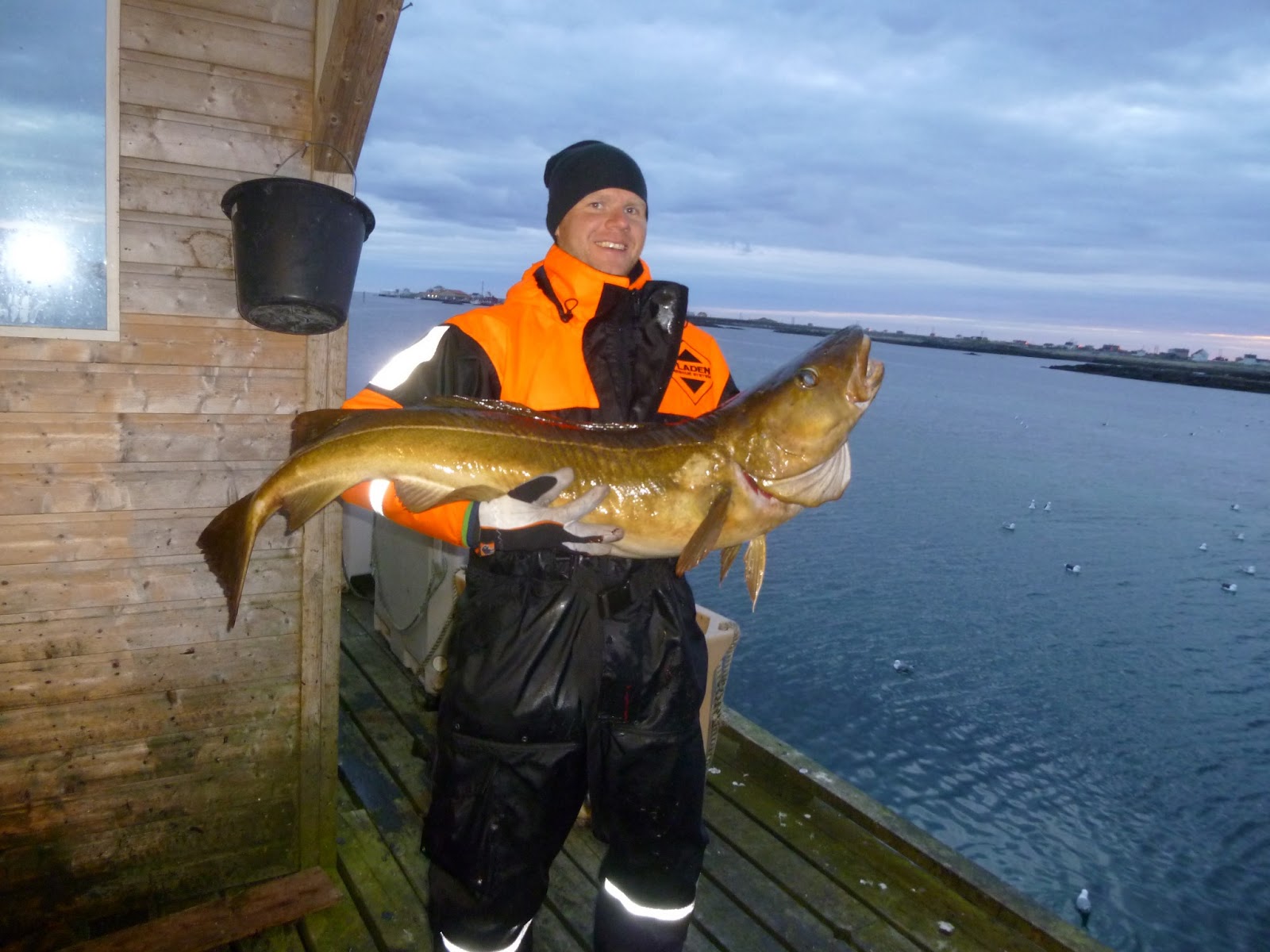 Välkommen till Obbola fiskeklubb: Bilder - största fisken 2013