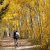5 Top Hiking Spots for Autumn