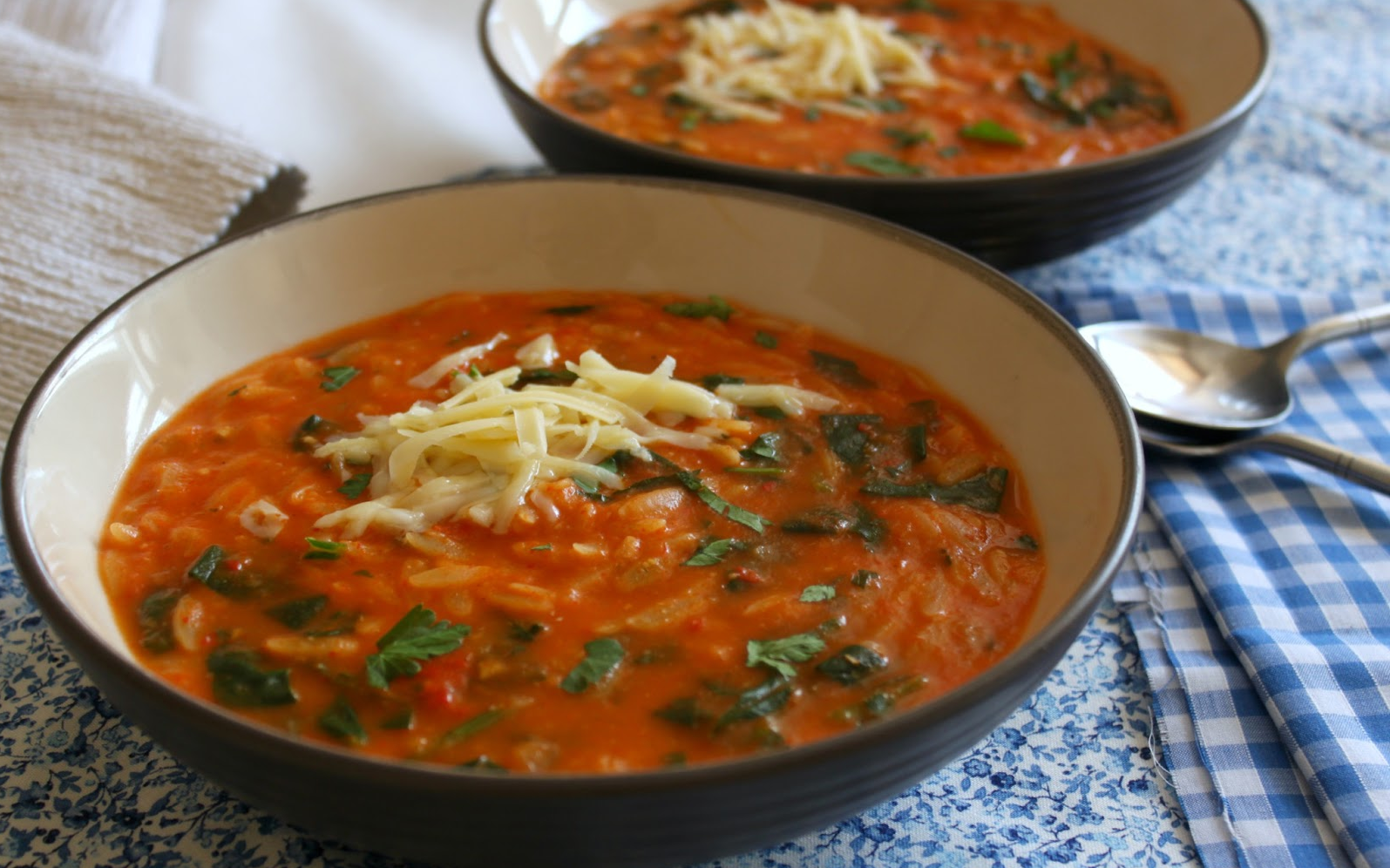 Our Best Vegan Recipes: Vegan Italian Orzo Tomato and Spinach Soup