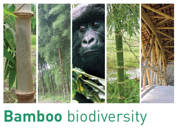 Bamboo Biodiversity