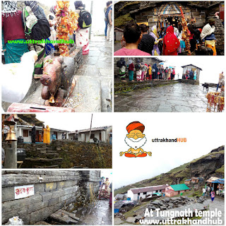 view of tungnath tungnath temple तुंगनाथ मंदिर
