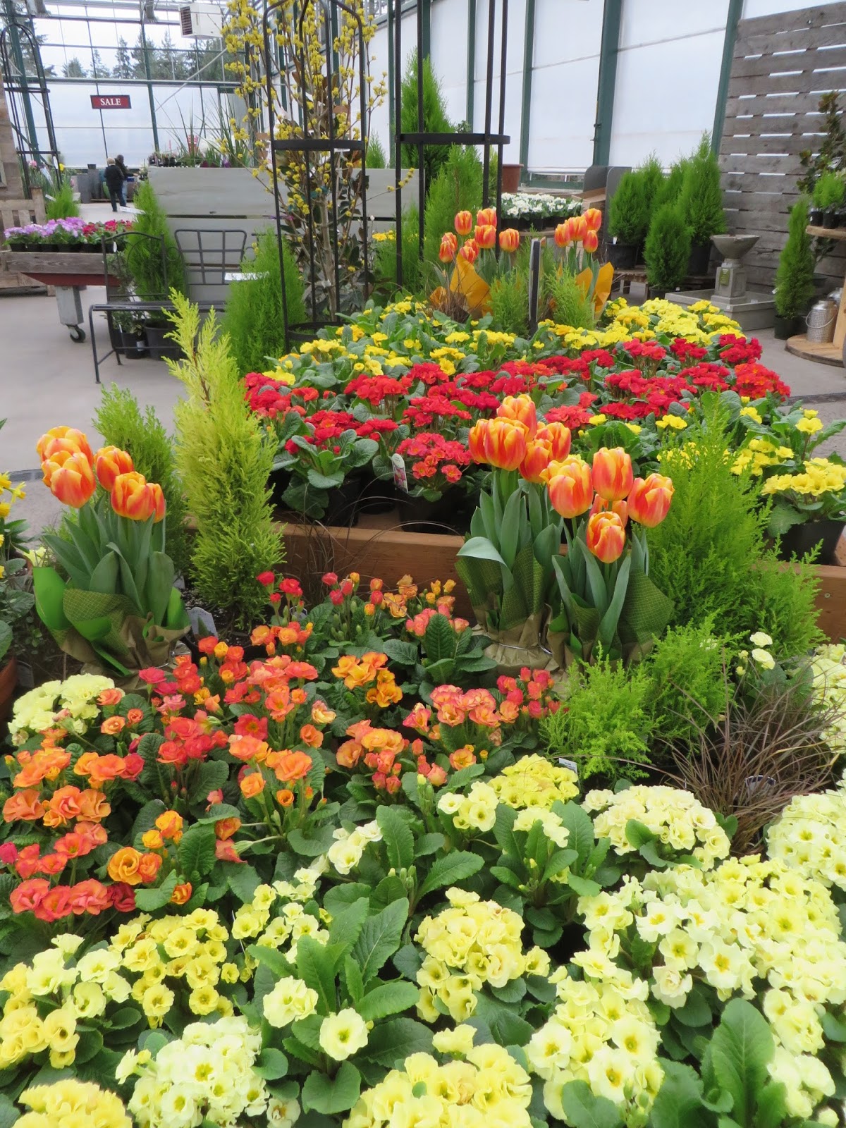 Nursery Visit Sky Nursery Seattle