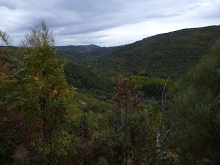 Montañas. Río Omañas
