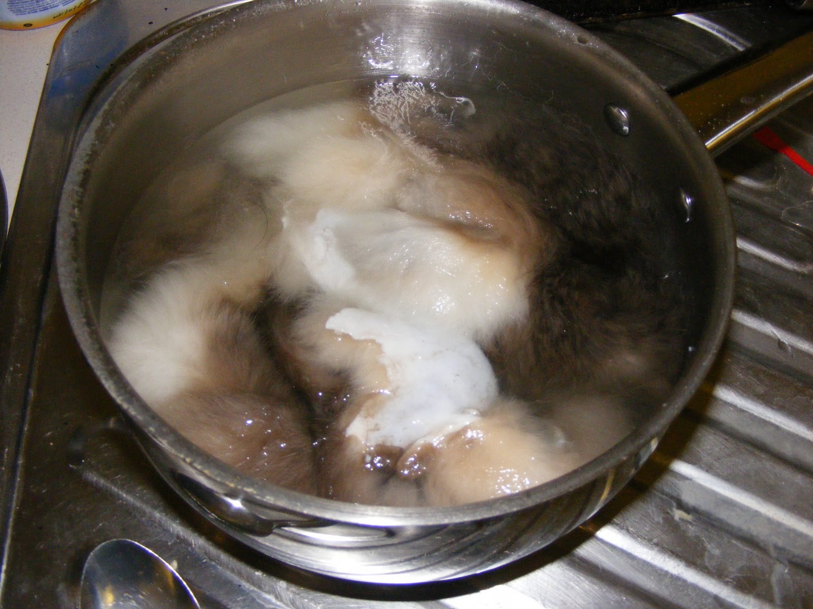 Rabbits for meat and fur Processing rabbit