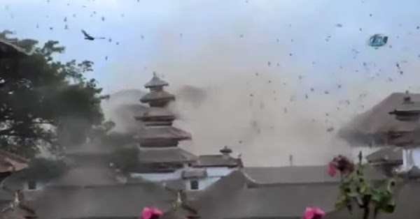 The temple and the animals affected by the nature's wrath.