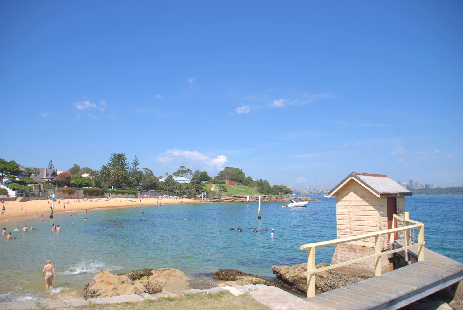 Woody at Home Lady Bay Beach Watsons Bay Woody at Home Lady Bay Beach Watsons Bay