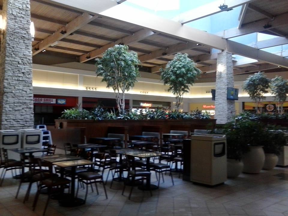Trip to the Mall Spring Hill Mall in West Dundee, Illinois Before