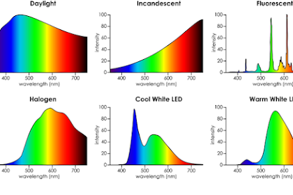 Spektrum Cahaya Yang Paling Baik Untuk Fotosintesis