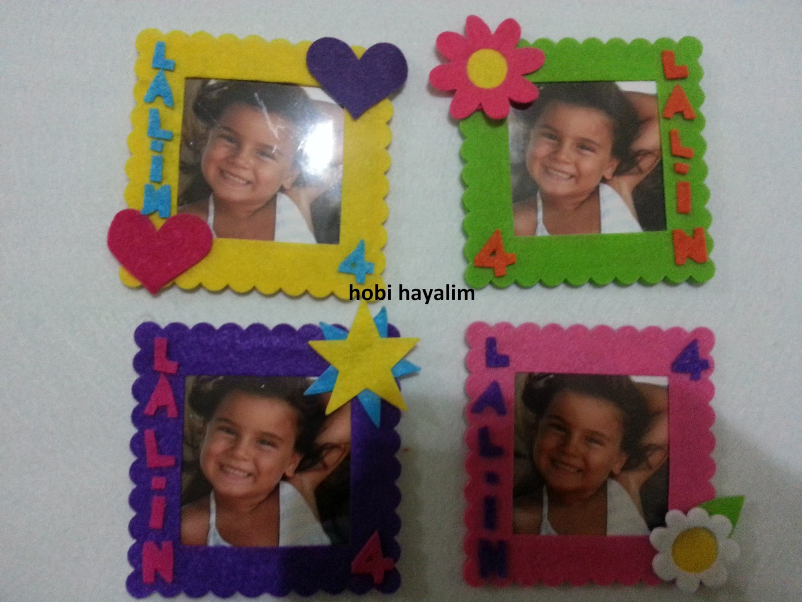 Hobi Hayalim