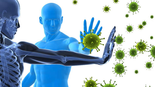 4 Tips untuk Meningkatkan Imunitas Tubuh 4 Tips untuk Meningkatkan Imunitas Tubuh