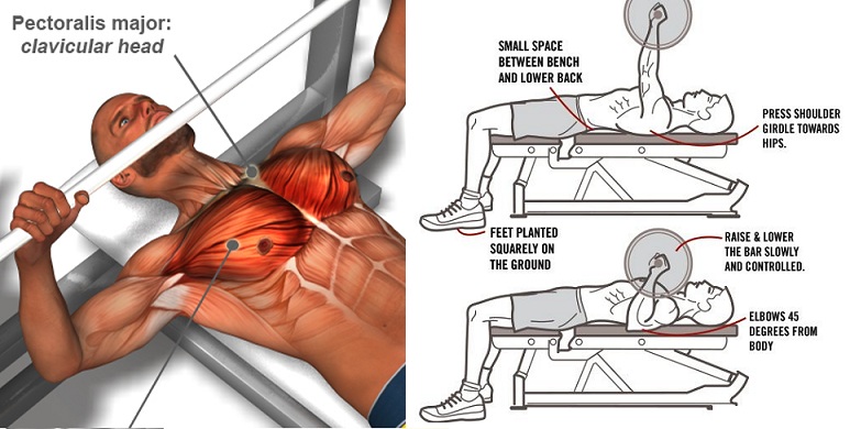 Eight Ways To Improve Your Bench Press Daily Body Workout