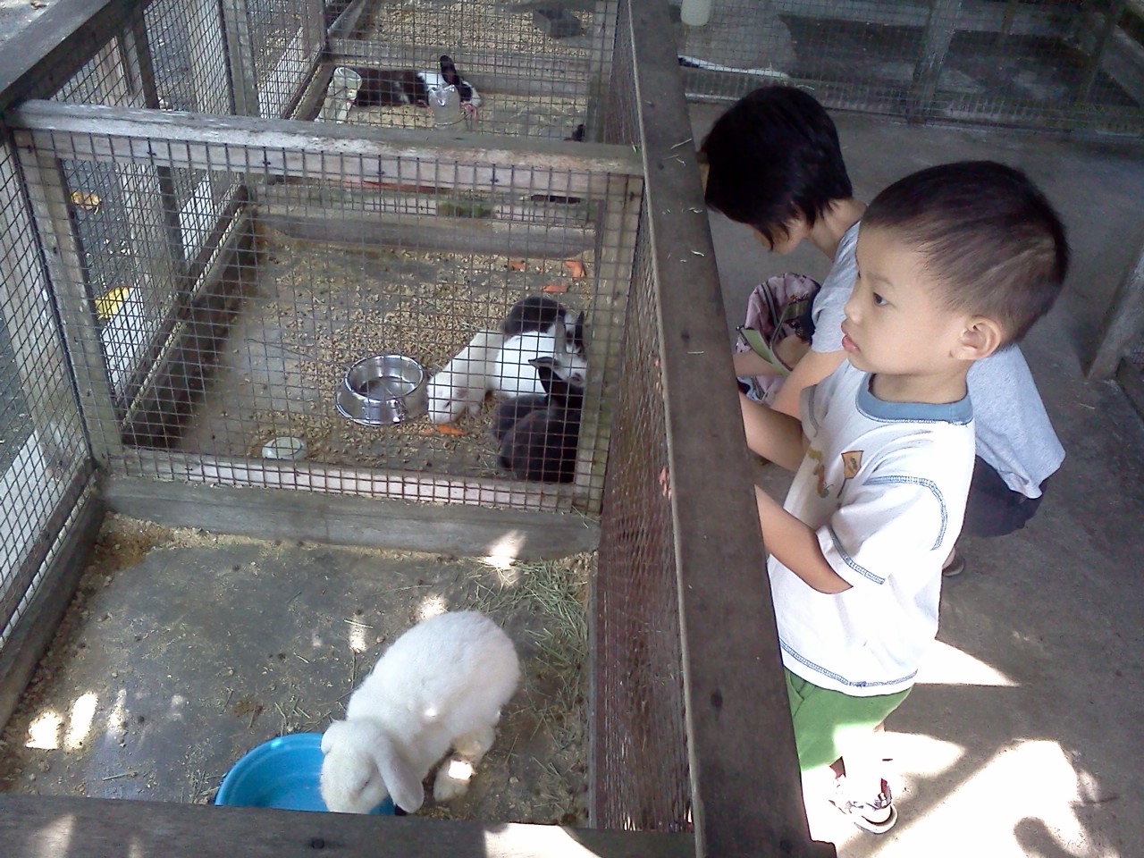 SG Kids Playground Animal Resort