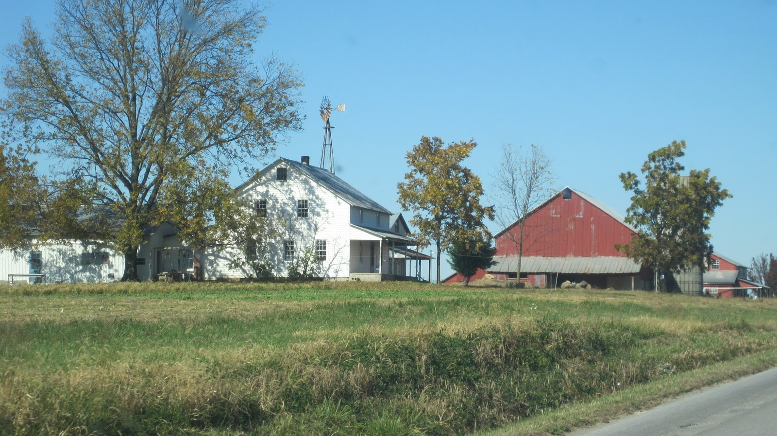 The Great American Field Trip Amish in Tennessee?