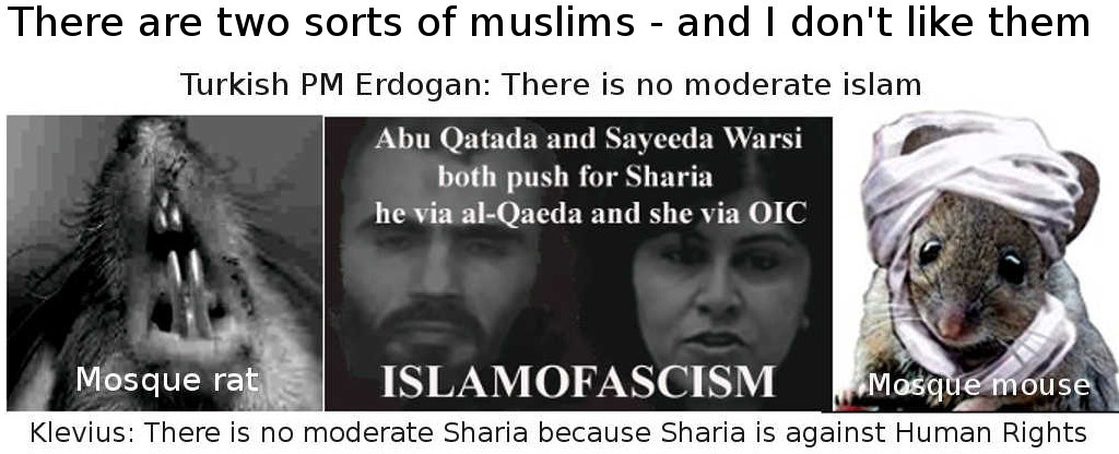 Sayeeda Warsi like all sharia muslims is against basic Human Rights