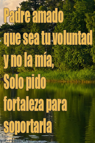 Padre amado que sea tu voluntad y no la mía, Solo pido fortaleza para soportarla Padre amado que sea tu voluntad y no la mía, Solo pido fortaleza para soportarla