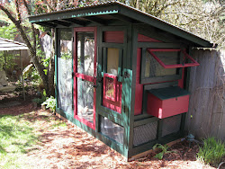 coop backyard chickens chicken built wichita cabin coops wayne plans