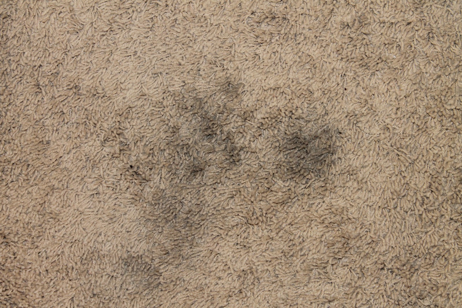 Carpet Stain Removal