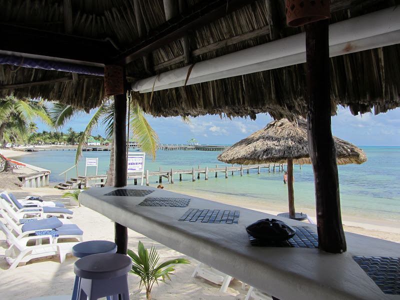 The Best Bars in San Pedro, Belize 2012 Edition San Pedro Scoop