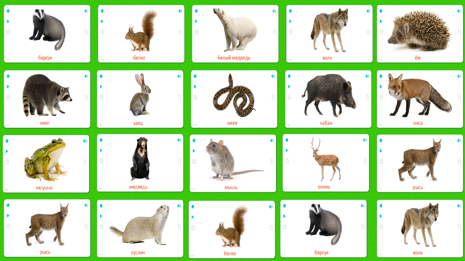 Карточки с лесными животными