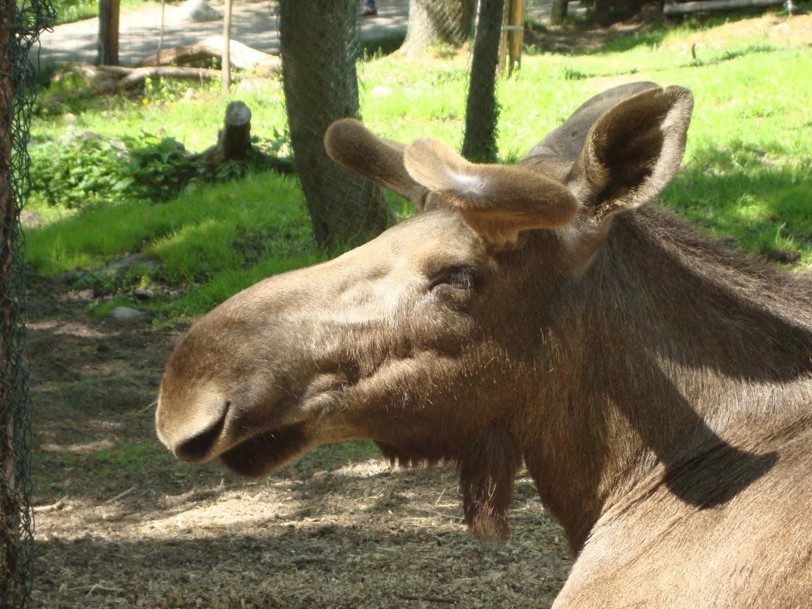 A new beginning: Pictures and a clip