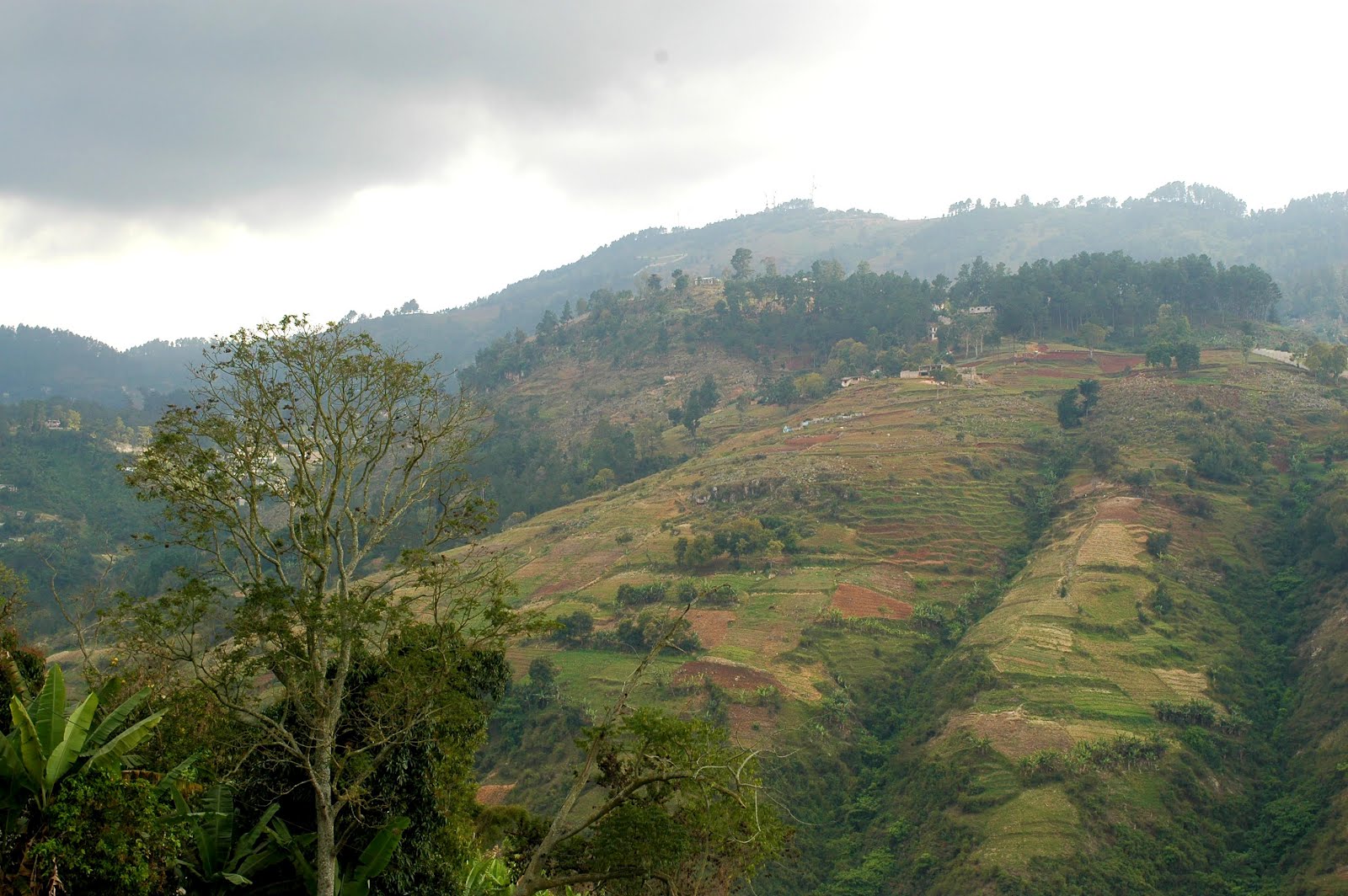 Taking Haiti by Mary A. Renda Taking Haiti by Mary A. Renda