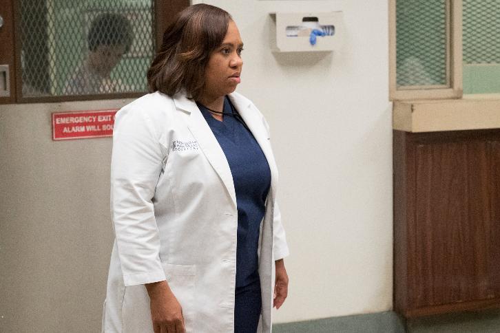 Grey's Anatomy - Episode 13.10 - You Can Look (But You'd Better Not Touch) - Promos, Sneak Peeks, Promotional Photos & Press Release