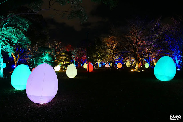 福岡城 チームラボ 城跡の光の祭