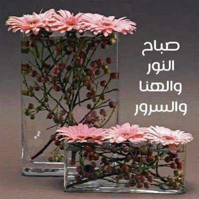 صور صباحية جديدة ورائعة