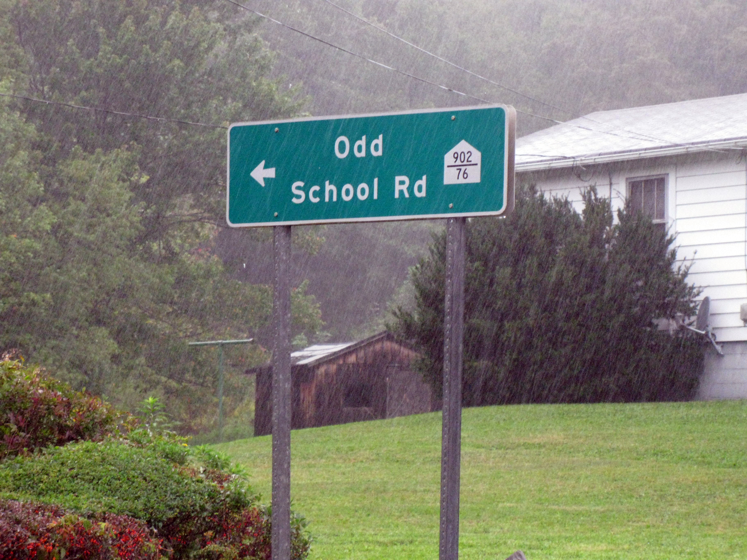 Eccentric Roadside September 2012