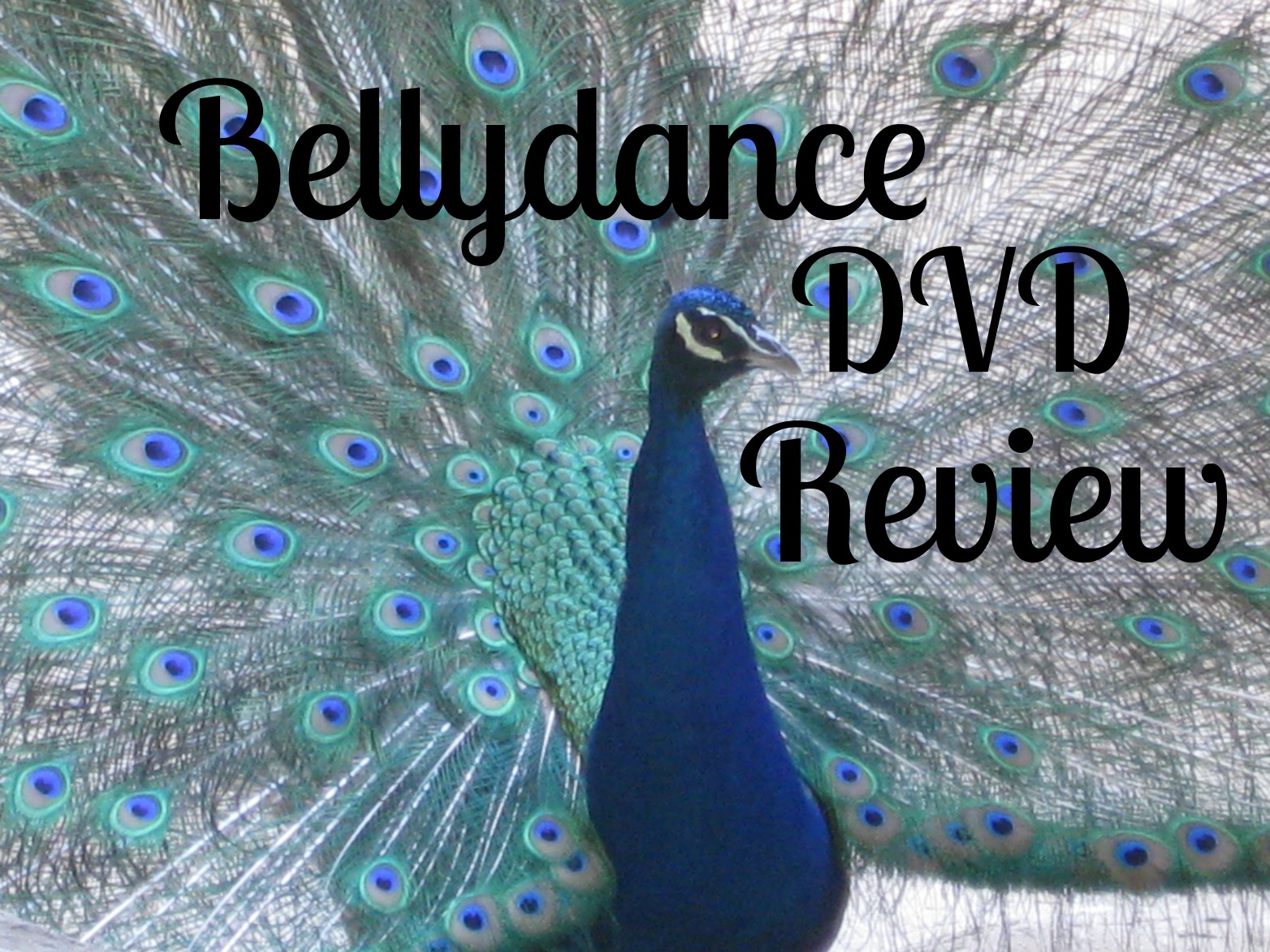 Bellydance DVD Reviews