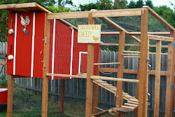 chicken coop depot plans building build op portable mistakes diy easy chickens