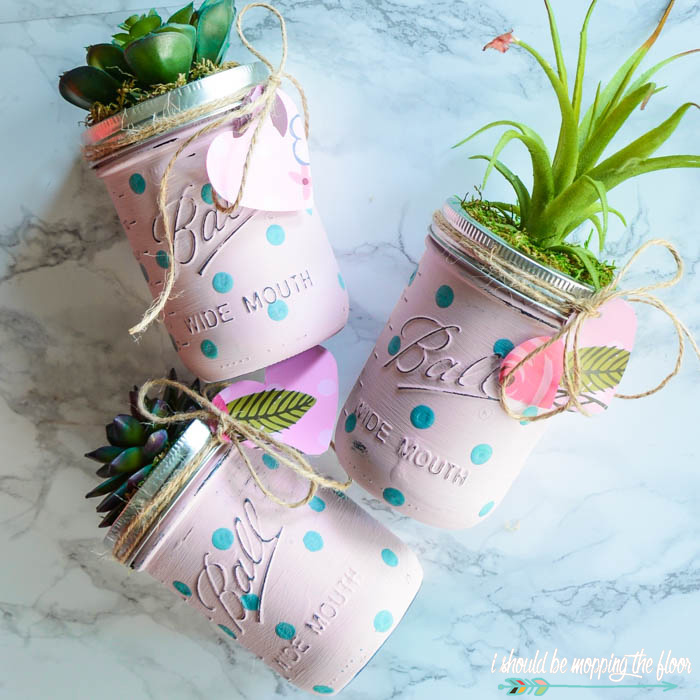 DIY Mason Jar Succulents | Make these sweet, budget friendly mason jar succulents for a simple and lovely gift!
