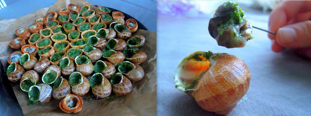 escargot in shells