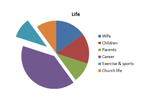 Life as a pie chart