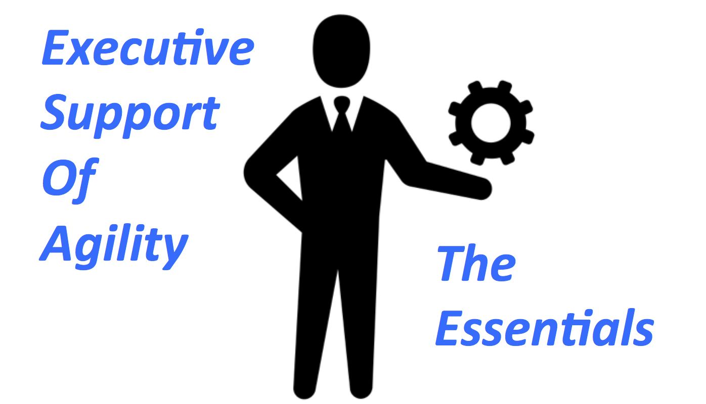 It Support Executive It Support