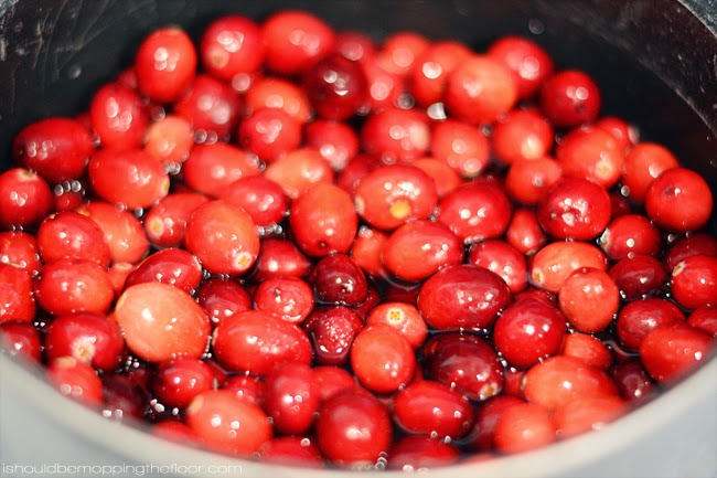 i should be mopping the floor: Cranberry and Mint Tea Holiday Punch