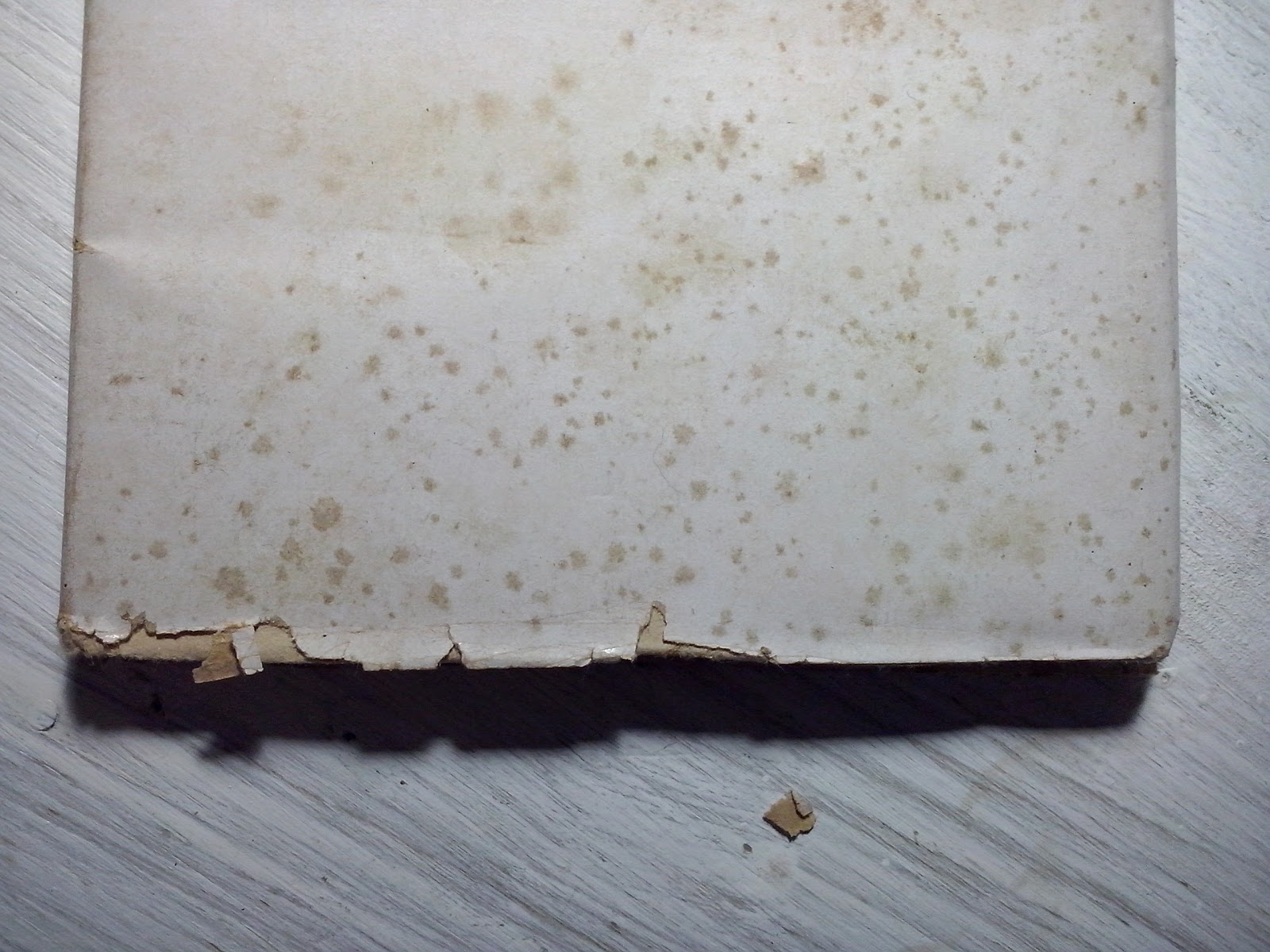 Trattoria Toschi Raffiche di mitra in montagna, Umberto Monti, 1946